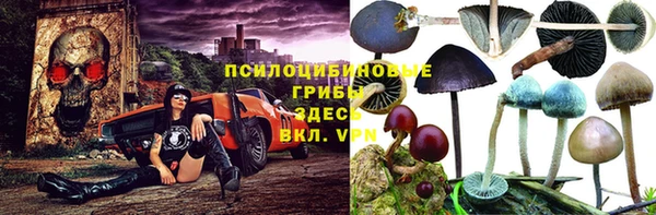дмт Алексеевка