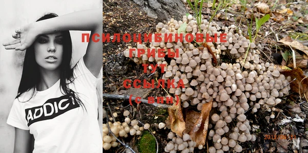 дмт Алексеевка